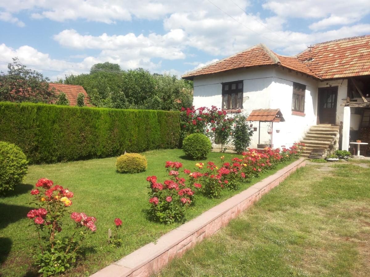 Kuca Mijalkovic Apartment Pirot Luaran gambar